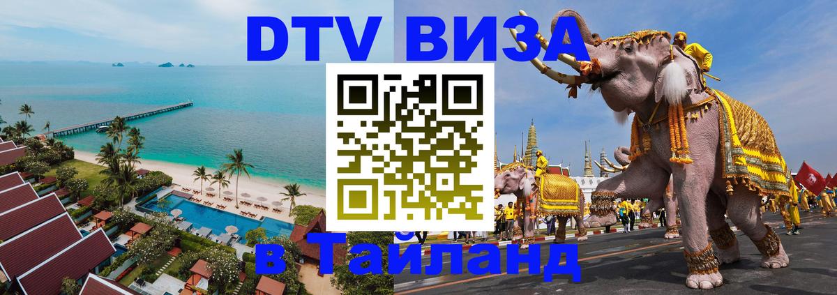 Сколько стоит DTV виза — актуальные цены, оформление даже без документов - 20.11.2025 